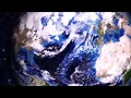 Flunk ▬ Play [1080p HQ]