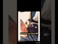 Download Lagu SELFIE TIME #funnydogs #pets #shorts