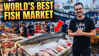 Giant Fresh Fish Market Fishing Boat Tuna Fishing Amazing Seafood