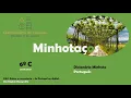 PORT - Dicionario Minhoto III