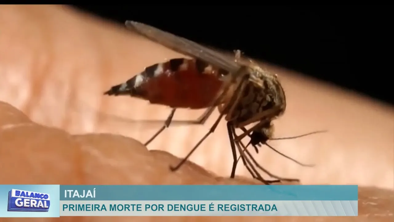 Primeira morte por dengue é registrada em Itajaí