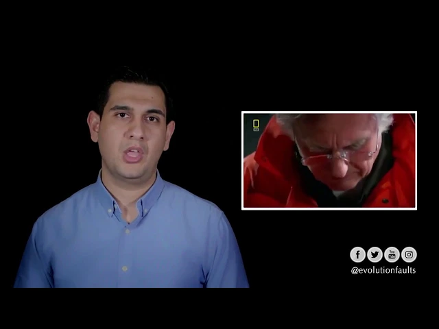 أخطاء نظرية التطور ١٨  العصب الحنجري الراجع في الزرافة   The Laryngeal nerve of the giraffe