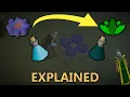 OSRS The ULTIMATE Coral Guide