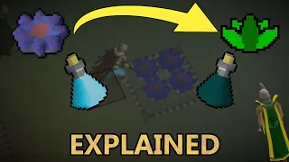 OSRS The ULTIMATE Coral Guide