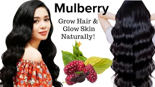 How To Use Mulberry for Extreme Hair Growth & Glowing Skin!