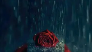أجمل اغنية   لأحسن مغني عبد الله ناصر مكتوبة  حلوة حياتي لأحسن مغني واجمل مغني روعة دندنها