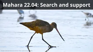 Webinar: Mahara 22.04: Search and support