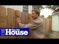 How to Plant and Train Vines on a Fence This Old House