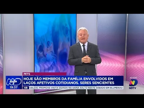 Laços afetivos: o papel dos pets como membros da família