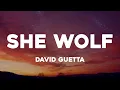 Download Lagu David Guetta - She Wolf (Lyrics)