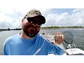 Chalmette to DuLarge - Louisiana