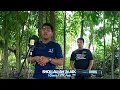 Download Lagu Sholawat Koplo Terbaru - Shollallah 'Alaik - Bass Horeg Antep Gleerr