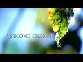 A SECOND CHANCE 3rd Place Short Film Mist Atlanta 2018