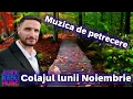 ALEX RADU ❌COLAJUL LUNII NOIEMBRIE ❌MUZICA ROMANEASCA DE PETRECERE ❌FOLCLOR AUTENTIC