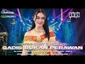 Download Lagu DJ GADIS BUKAN PERAWAN💫STYLE PARTY KARNAFAL VIRAL🔥COCOK BUAT GOYANG•JINGLE PEMUDA BANJAREJO BARAT