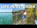 First week in St Croix LIFE IN ST CROIX VIRGIN ISLANDS