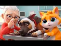 Granny s DOG is SICK I Am Cat VR