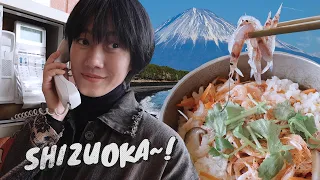 HELLO SHIZUOKA #11