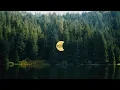 Download Lagu MOX / 2018 / Music Outdoor Experience / Moxments / 4K