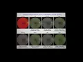 Rise of the Machines Deep Learning from Backgammon to Skynet Paul Ginsparg Cornell University