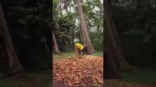 هاكونا ماتاتا رووعة 