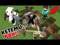 Lagu KITA MENEMUKAN DESA TEGUH SUGIANTO DAN PRESIDEN GAMING DIBAWAH TANAH MINECRAFT