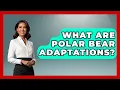 Download Lagu What Are Polar Bear Adaptations? - Polar Regions Uncovered