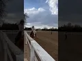 Download Lagu https://youtube.com/@kendallbooth8042?si=54kZJ1xKFnGwbzxy cantering in her own on Twinkie girl