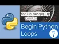 Python Loops