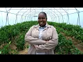 Download Lagu MIXED FARMING WITH ZANELE MOTAU - AMA FAMA 2025 EP3