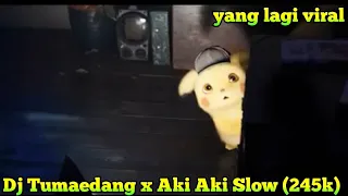 Download Dj Tumaedang X Aki Aki Slow (245k) MP3