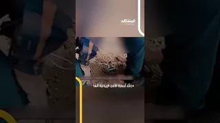 مشاهد للانتحاري ي ن الل ذ ين قاما بتفجير ين بكرمان دندنها