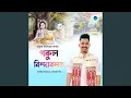 Download Lagu Gokul Brindabonat