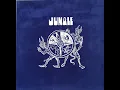 Lagu Jungle – Jungle(1969(1997) USA Psychedelic Rock)Full Album