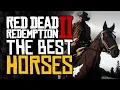 Complete HORSE Guide - The BEST Horses and How To Get Them
