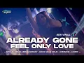 Lagu DJ ALREADY GONE X FEEL ONLY LOVE JEDAG JEDUG MENGKANE VIRAL TIK-TOK • BONGOBARBAR