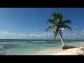 Relaxing 3 Hour Video of A Tropical Beach with Blue Sky White Sand and Palm Tree
