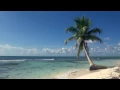 Download Lagu Ontspannende video van 3 uur over een tropisch strand met blauwe lucht, wit zand en palmbomen