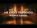 Wisin & Yandel - Me Estás Tentando (Audio)