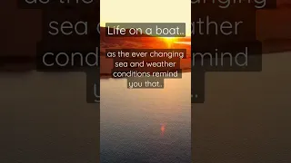 The ephemeral escape: Comment below if you agree👇 #shorts #sailing  #sailinglife