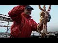 Deadliest Catch Season 20 Premiere