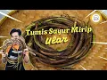 Download Lagu TUMIS SAYUR MIRIP ULAR 🐍