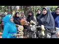 Download Lagu Induak-induak Main Calempong Pangean Kuansing - Riau