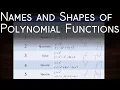 Names and Shapes of Polynomial Functions