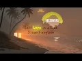 Alex To - Im So Sorry English Version (VeeCovers Lyric Video)