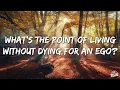 Juliet Ivy - we're all eating each other (Lyrics)