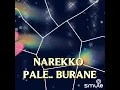 Download Lagu SARADDASI 📀Karaoke || Voc: M. Nur MS.|| Cipt: H. Ancha S.