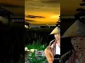 Download Lagu Story Wa sunda viral. diri nandangan kasiksa gering pikir ngalanglayung#storywa #shorts #tiktok