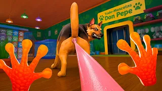 Soy un CAMALEÓN y ATACO al Perro - I Am Chamaleon VR