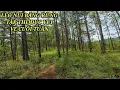 Download Lagu Leo núi băng rừng Đà Lạt tập thể dục cuối tuần vui vẻ